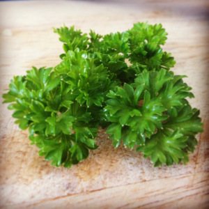 Fresh parsley herbs