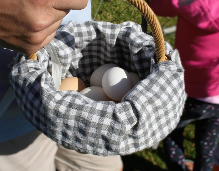 Farm eggs Fresh free range farm eggs in a basket.