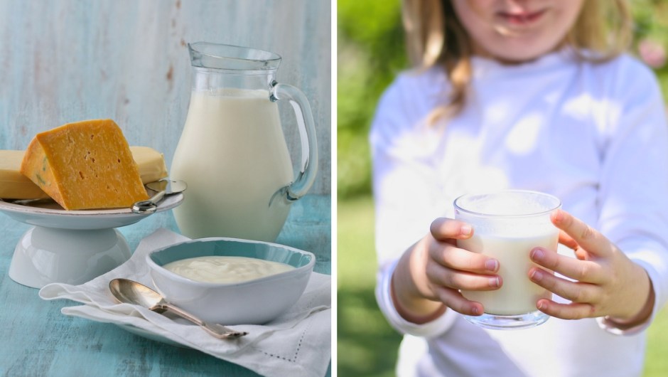 Dairy product review