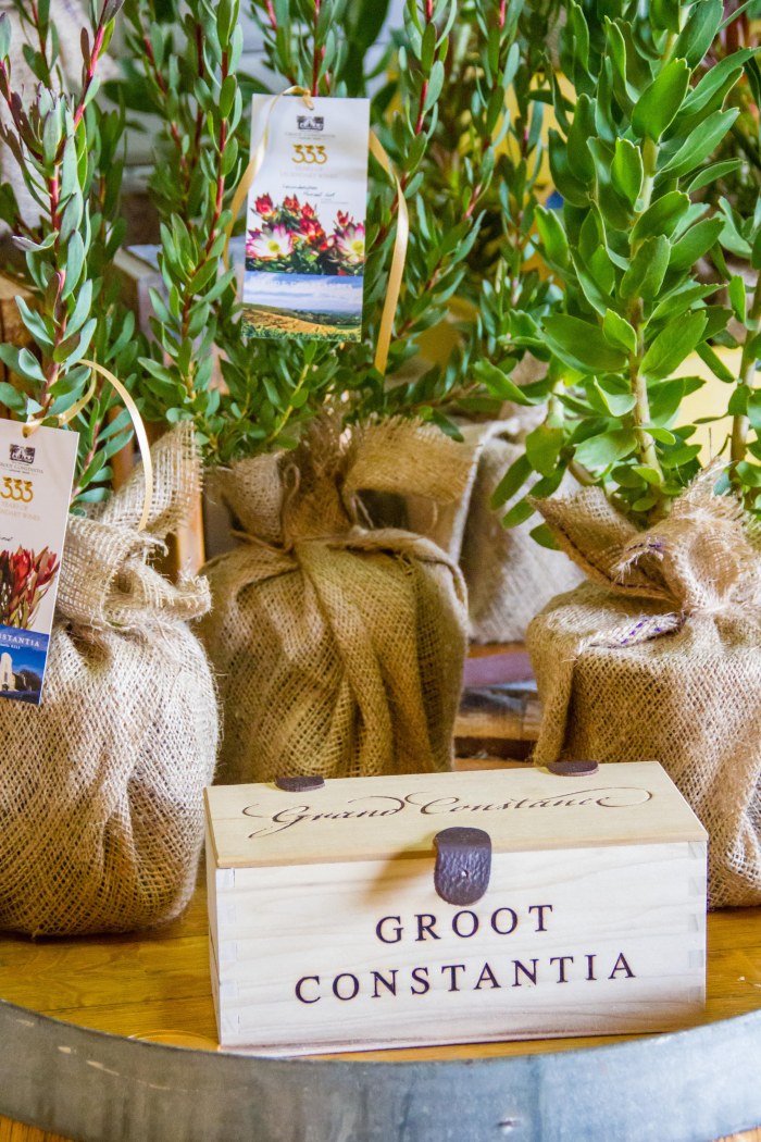 Groot Constantia's 333rd birthday celebration