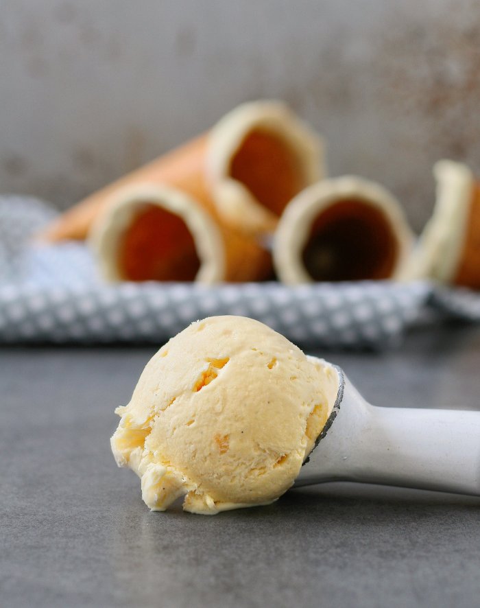 No churn milk tart ice cream recipe