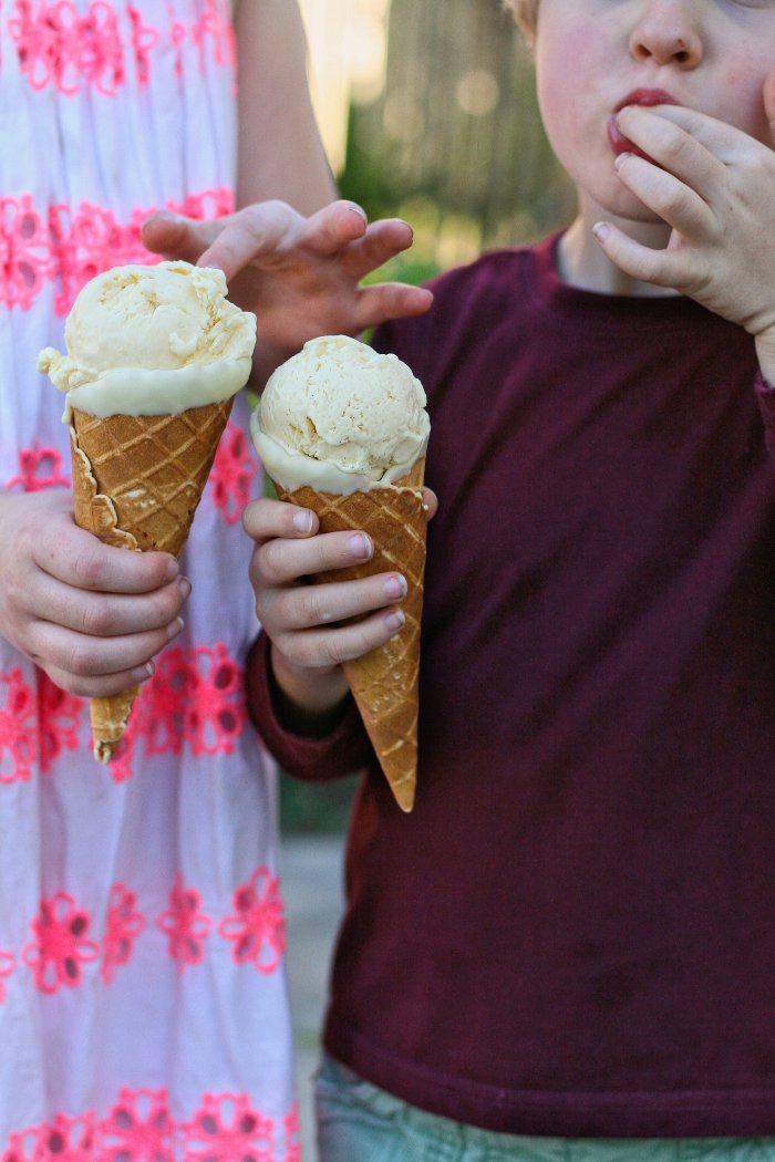 No churn milk tart ice cream recipe