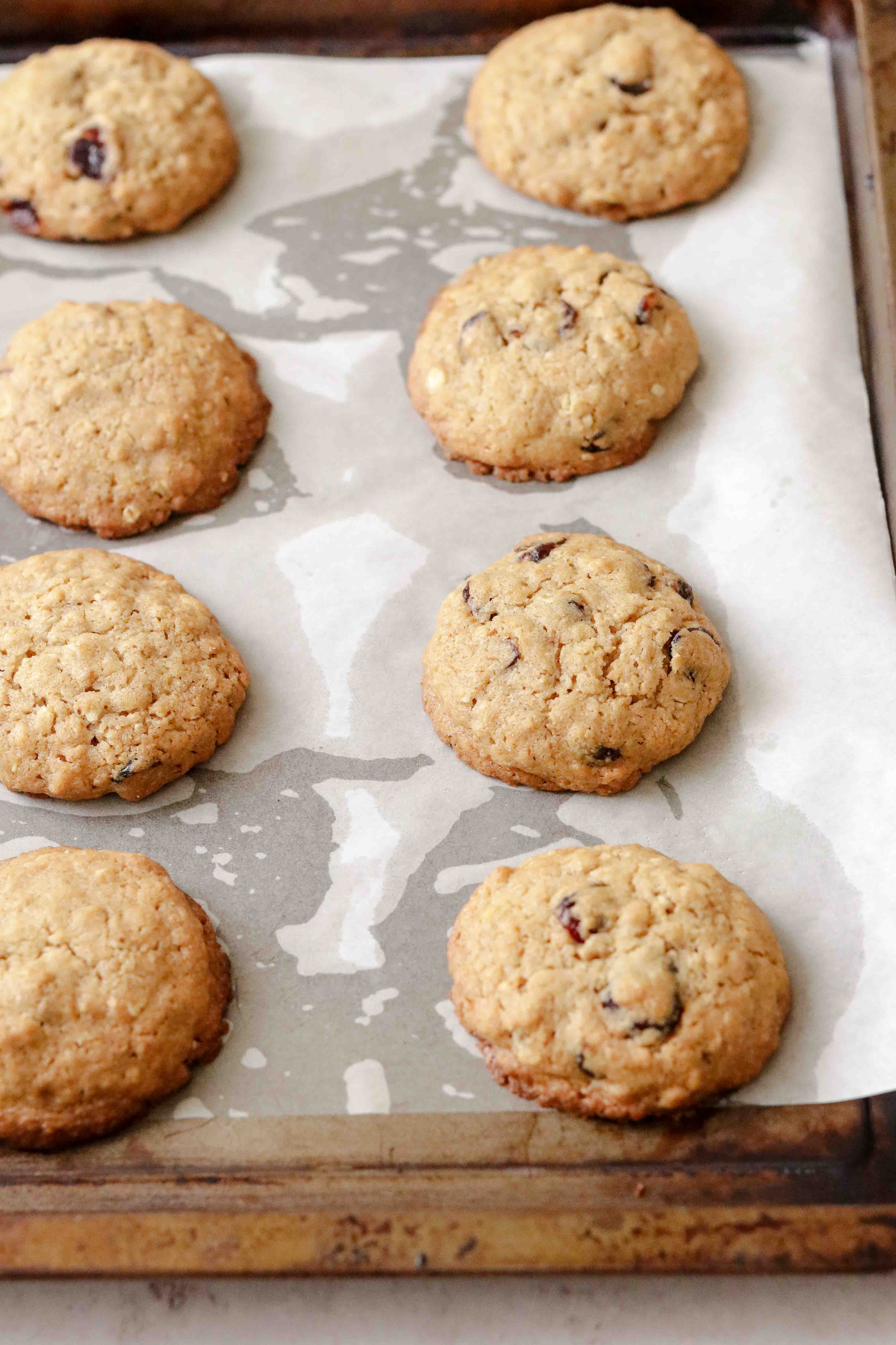 Tray of cranberry oat cookies