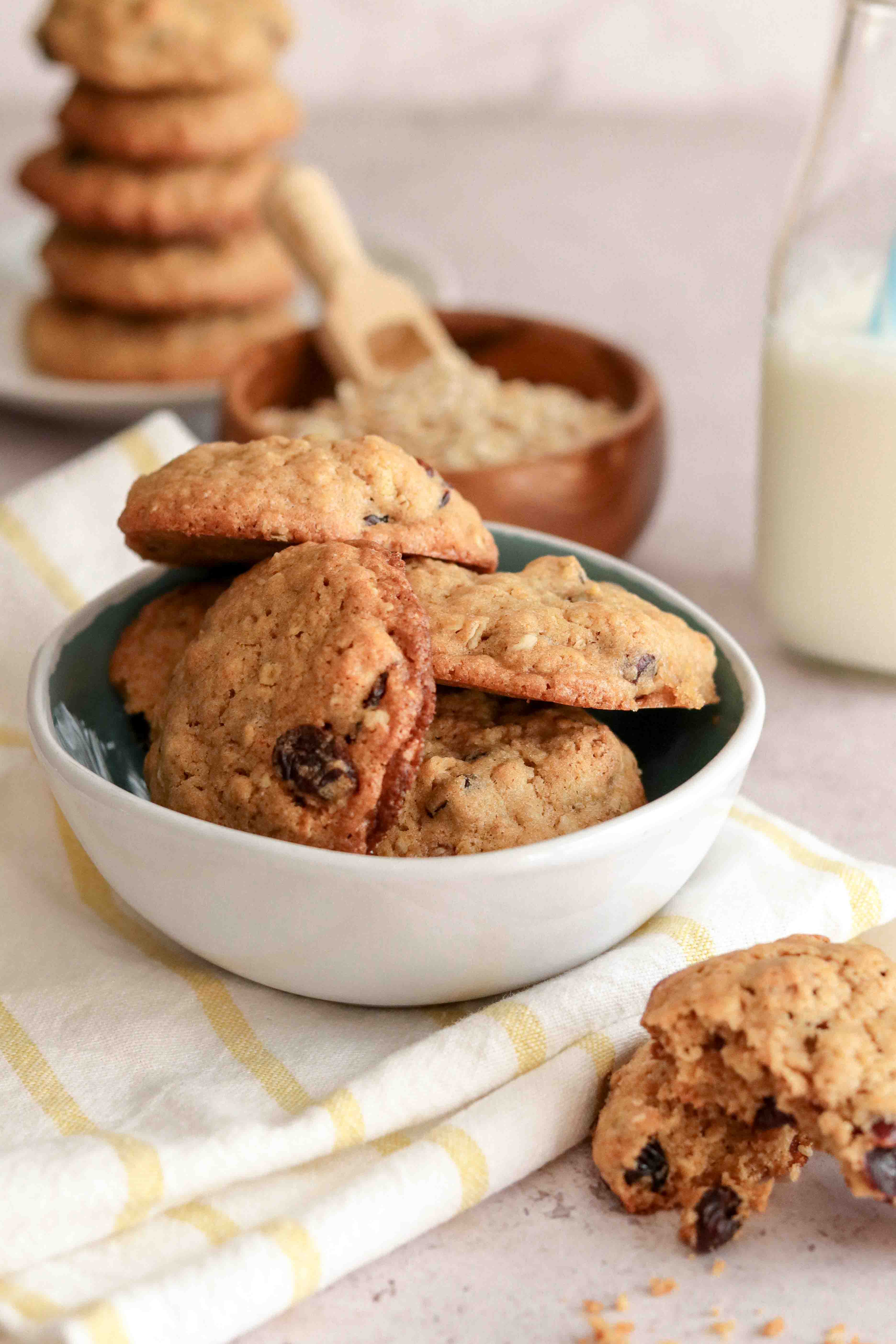 Bowl of oat and cranberry cookies