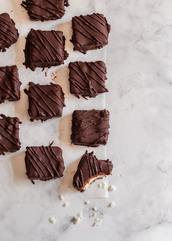 Coconut and caramel chocolate squares